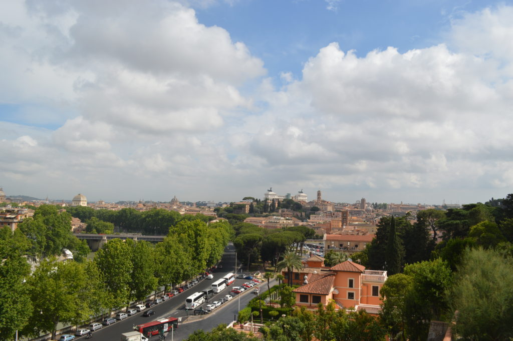 View from the garden of oranges