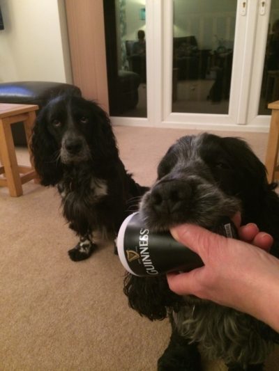 Guinness and Jackson sharing a pint!
