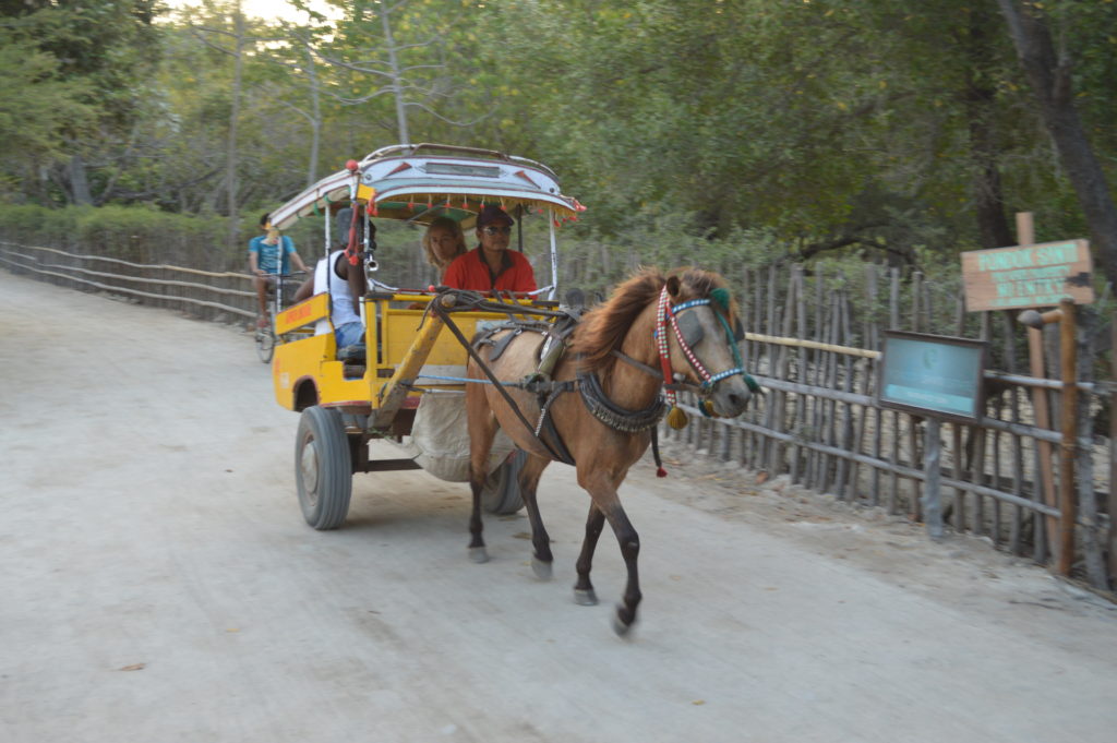 Gili Trawengan horse and cart