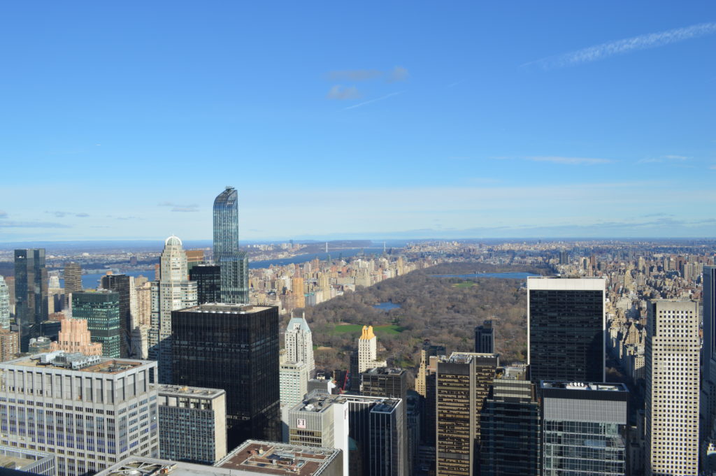 View of central park