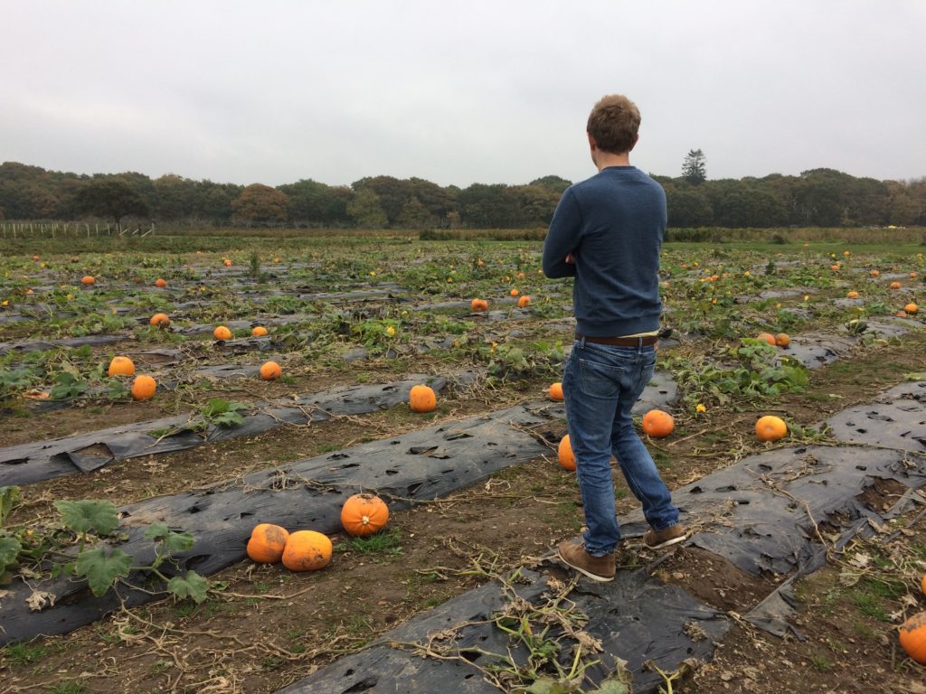 Picking out the perfect pumpkin